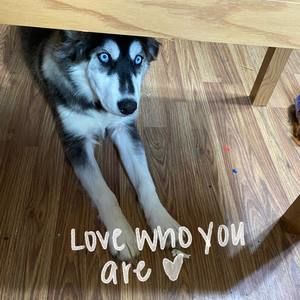 Meet your Posher, Elexis